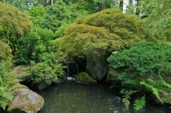 Japanese Garden. Portland, Oregon - August, 2017