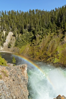 Grand Canyon of the Yellowstone: Brink of the Upper Falls