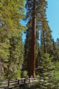 Yosemite National Park - October, 2014