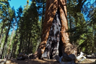 Yosemite National Park - October, 2014