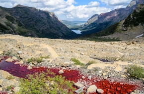 Red pool near Grinnell Glacier.